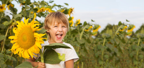 funny little child boy with a sunflower in a field with sunflowers. Slow life. Enjoying the little things. 