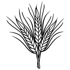 wheat ears isolated on white -Vector illustration