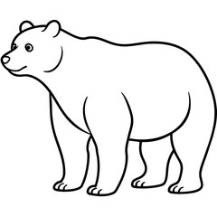 polar bear vector illustration