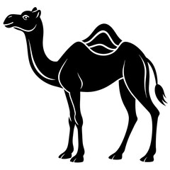 camel-silhouette-on-white-background