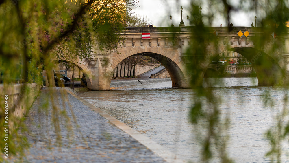 Wall mural Pont neuf bridge over the seine river in Paris