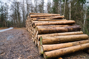 Stacked tree trunks by the side of the road in the forest. Tree material