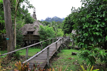 wooden bridge in the jungle malaysia asia