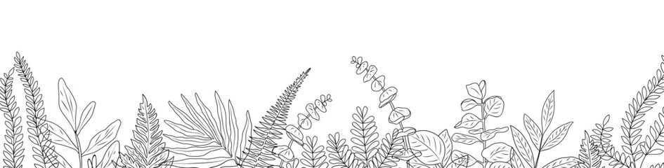 Fern and eucalyptus leaves border. Horizontal banner, botanical overlay backdrop. Trendy greenery monochrome ink sketch style outline hand drawn vector illustration isolated on transparent background. - obrazy, fototapety, plakaty