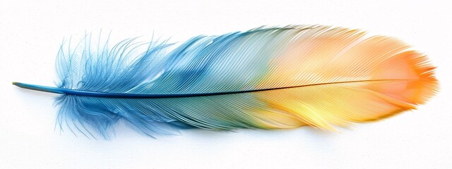 Vivid Ombre Feather A Spectrum of Color and Artistry Generative AI