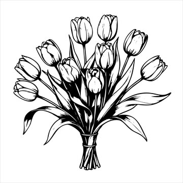 bouquet white tulips is drawn in black and white. The flowers are arranged in a bunch and are the main focus of the image