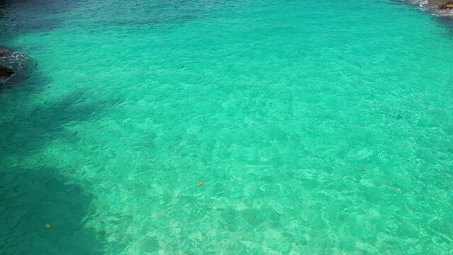 Aerial view of leaves and sticks in transparent, turquoise waters of Africa