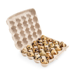 Group of small uncooked raw quail eggs with shell of beige colour and brown spots and speckles in carton box or container made of recycled paper isolated on white background used as food ingredient
