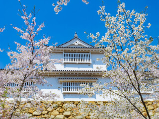桜が満開の春の津山城　岡山県　旅行