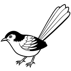    Bird vector illustration.
