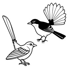    Bird vector illustration.
