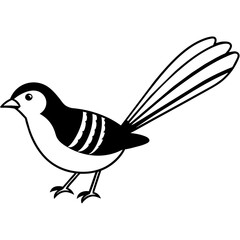    Bird vector illustration.
