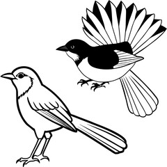    Bird vector illustration.
