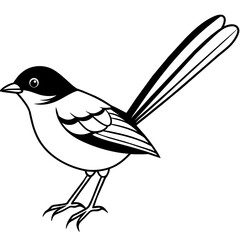    Bird vector illustration.
