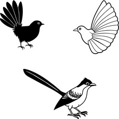    Bird vector illustration
