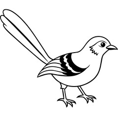   Bird vector illustration
