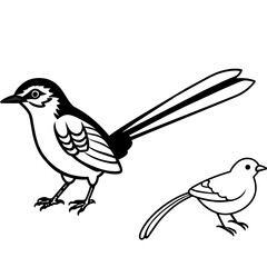    Bird vector illustration
