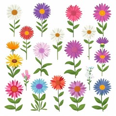 Aster Flower Icon Set, Garden Aster Flat Design, Abstract Spring Aster Symbol, Simple Flowers