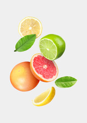 Many different fresh citrus fruits in air on light grey background