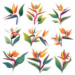 Fototapeta na wymiar Bird of Paradise Flower Icon Set, Garden Strelitzia Flat Design, Abstract Strelitzia Reginae Symbol