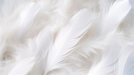 Fototapeta na wymiar Soft White Feathers Background Symbolizing Peace and Purity