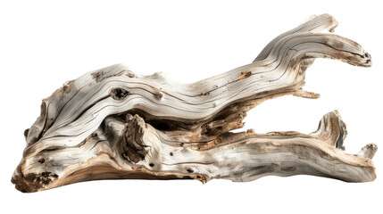 Close Up of Weathered Driftwood - obrazy, fototapety, plakaty