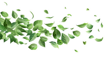 Naklejka premium Cluster of Green Leaves Floating in the Air