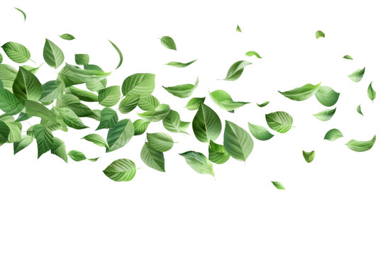 Cluster of Green Leaves Floating in the Air
