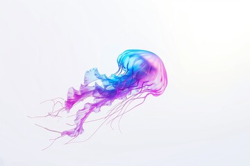 Obraz premium single jellyfish floating in the air, with a purple and blue gradient color on a white background