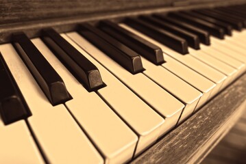 The piano, with its ebony and ivory keys, harmonizes melodies that resonate through time, evoking...