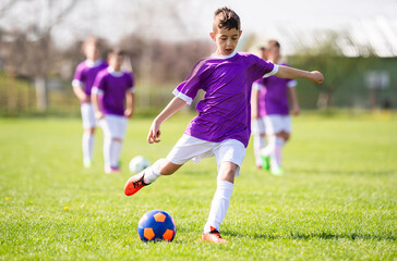 Young soccer player kicking the ball into the goal on large grass field - 781909327
