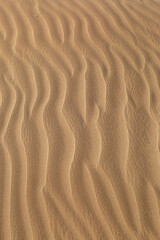 A full frame photograph of ripples in sand