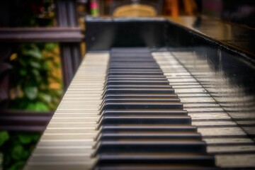 The grand piano, a majestic instrument, resonates with timeless melodies, its ebony and ivory keys...