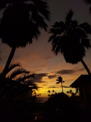 hawaii, haway, havai, green, tree, palm tree, travel, tourism, destination, island, sky, clouds, outdoor, nature, turism, beach, coastlina, shore, relax, big island, waves, ocean, water, sun, day