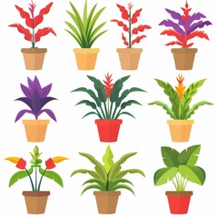 Bromeliad (Bromeliaceae genera) Pot Plant Icon Set, Bromeliaceae genera Plant Flat Design