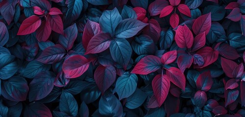 Vibrant Blue and Red Leaves Nature Background - obrazy, fototapety, plakaty