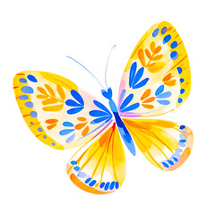 Colorful butterfly watercolor PNG.