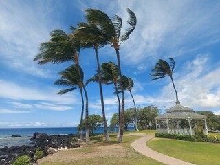 sunset, haway, hawaii, havai, big island, orange, dawn, evening, dark, palm tree, shapes, trees,...