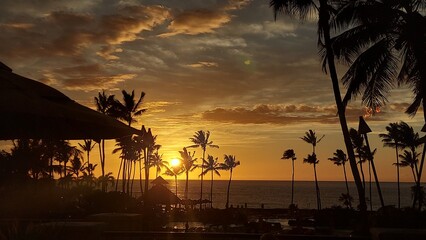 sunset, haway, hawaii, havai, big island, orange, dawn, evening, dark, palm tree, shapes, trees, sun, clouds, colours, calm, relax, fire, coastline, shore, island, paradise
