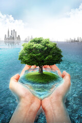 save tree island in the sea