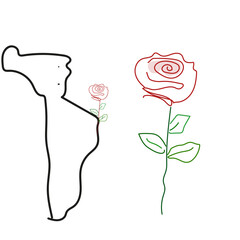 linear designe,,rose