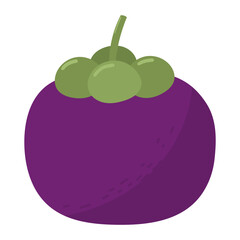mangosteen fruit illustration