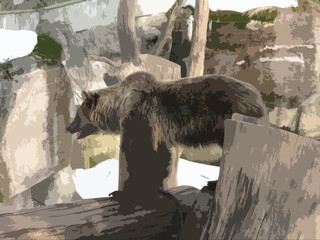 Realistic illustration of brown bear in Skansen park, Stockholm, Sweden.