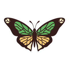 Retro Butterfly Illustration