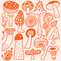 Mushroom set in hand drawn outline style. Cute doodle vector illustrations of boletus, enoki, toadstool and others. Big collection of edible and non-edible mushrooms. - obrazy, fototapety, plakaty