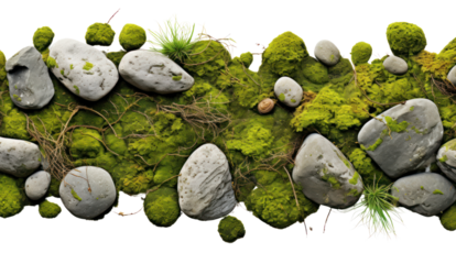 Floating rock island covered by green moss, grass and fern, isolated on transparent and white background.PNG image.