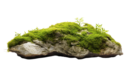 Floating rock island covered by green moss, grass and fern, isolated on transparent and white background.PNG image.