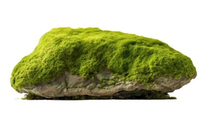 Floating rock island covered by green moss, grass and fern, isolated on transparent and white background.PNG image.
