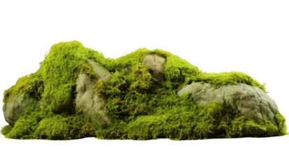 Floating rock island covered by green moss, grass and fern, isolated on transparent and white background.PNG image.