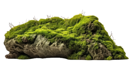 Floating rock island covered by green moss, grass and fern, isolated on transparent and white background.PNG image.